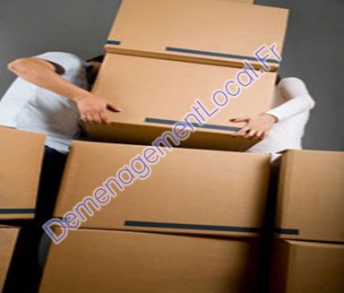 Déménageurs 08218