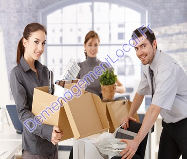 Meilleurs déménageurs