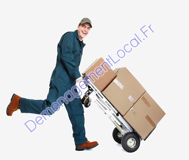 Déménageurs 86088