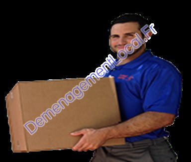 Meilleurs déménageurs